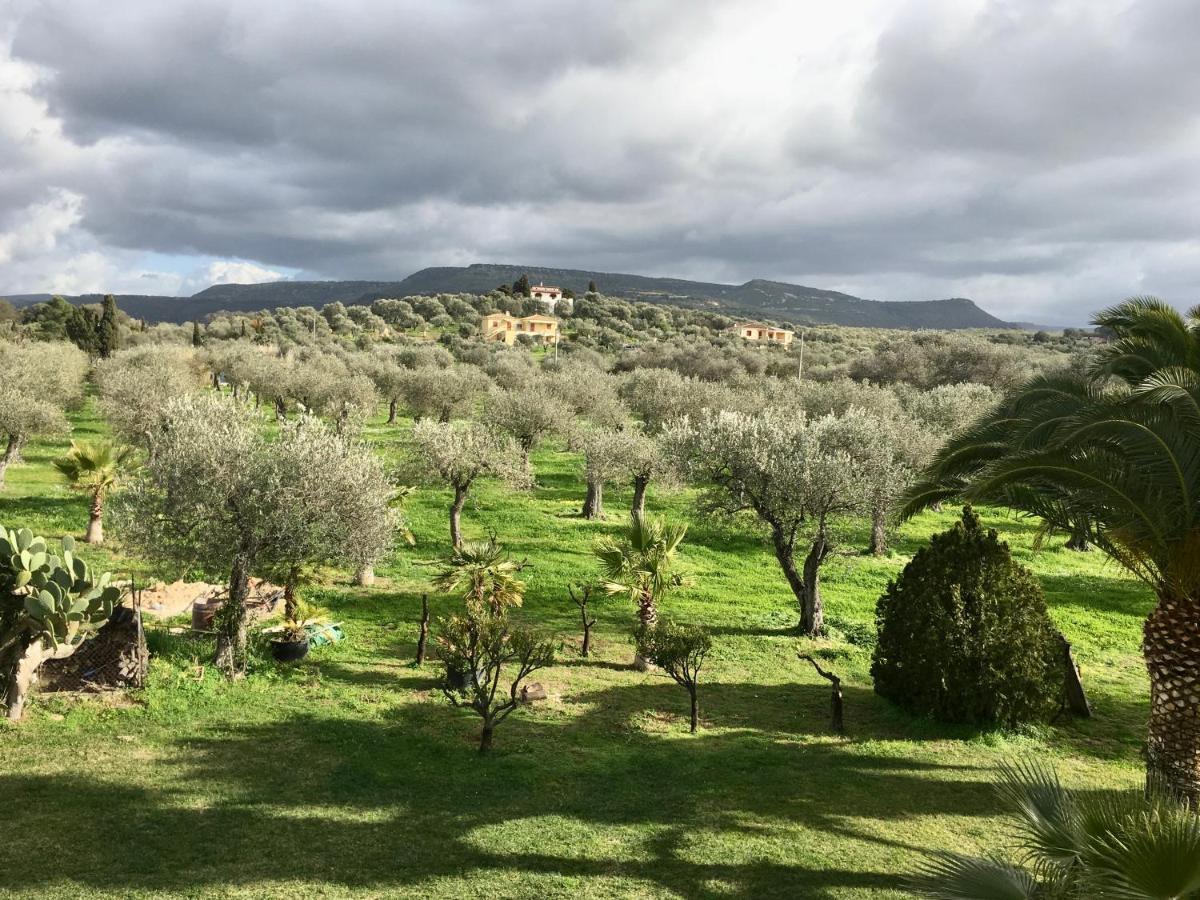 Villa Culla Di Jana Алгеро Екстериор снимка