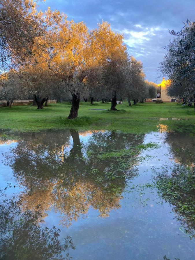 Villa Culla Di Jana Алгеро Екстериор снимка